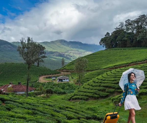 kerala munnar