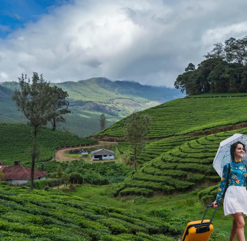 kerala munnar
