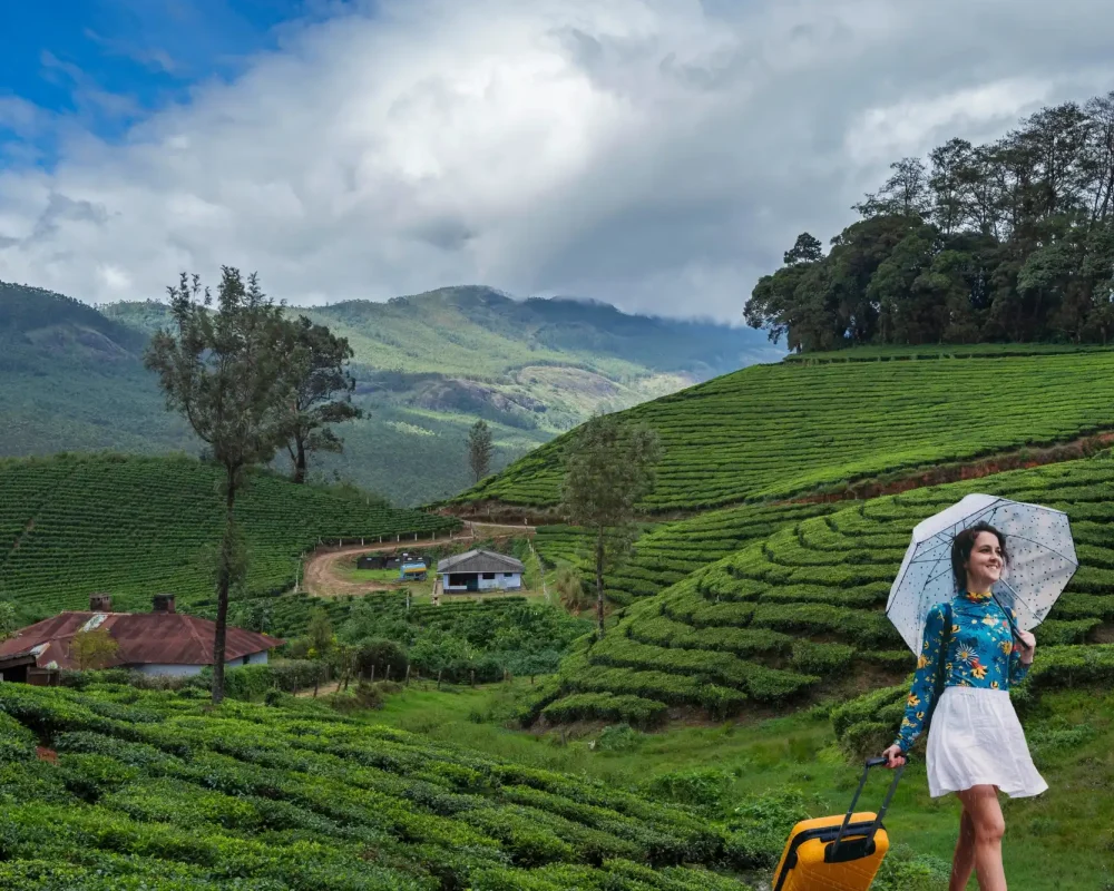 kerala munnar