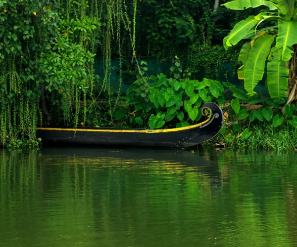 kerala river